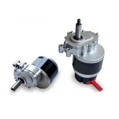 Two Stage Reducer Wheelchair Motor Low Speed Permanent Magnet Brushed Gear Motor 250W 24V