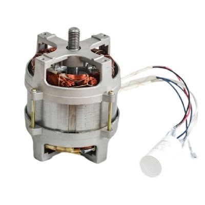 1kw Single Phase AC Induction Motor 230v 50hz For Lawn Mower