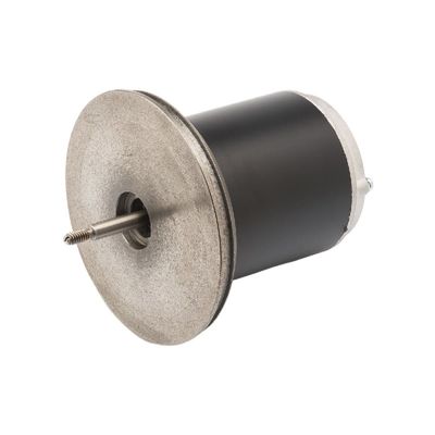 83ZYT 110-220V 300w Permanent Magnet Micro DC Motor For Tennis Ball Machine