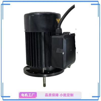 Compact 1 HP Single-Phase Water Pump Motor - Ideal for Garden and Home