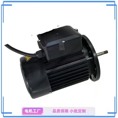 Compact 1 HP Single-Phase Water Pump Motor - Ideal for Garden and Home